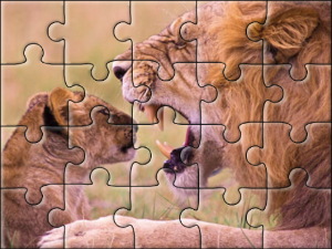 20-pieces puzzle