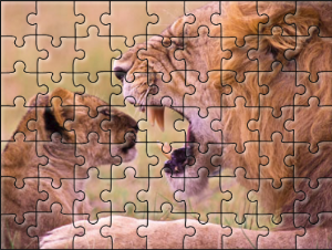 63-pieces puzzle